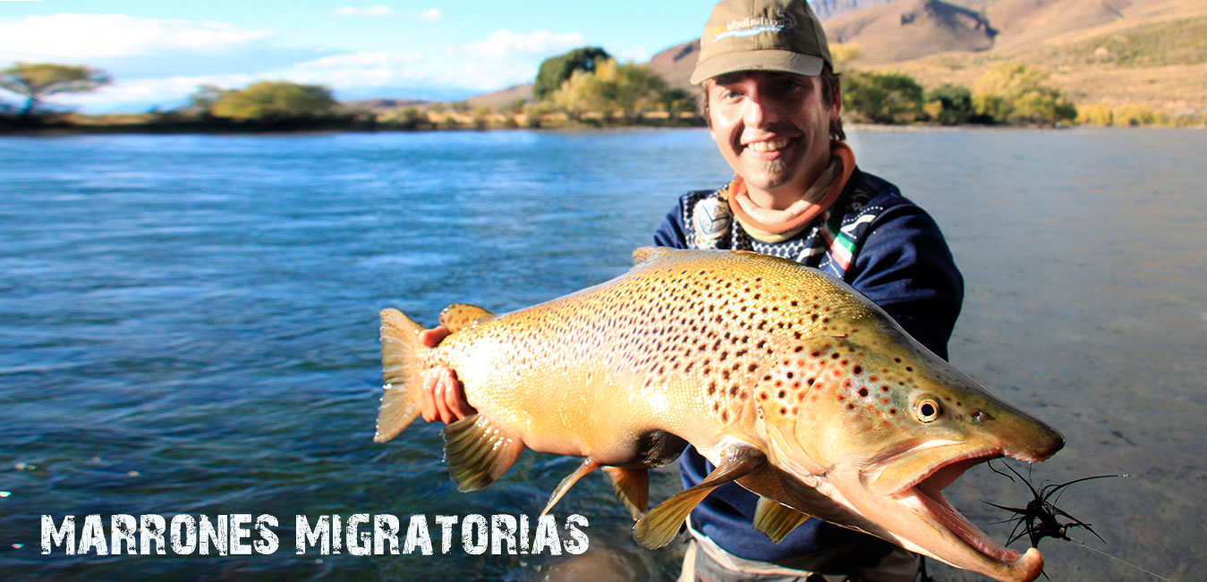 Trout Bariloche